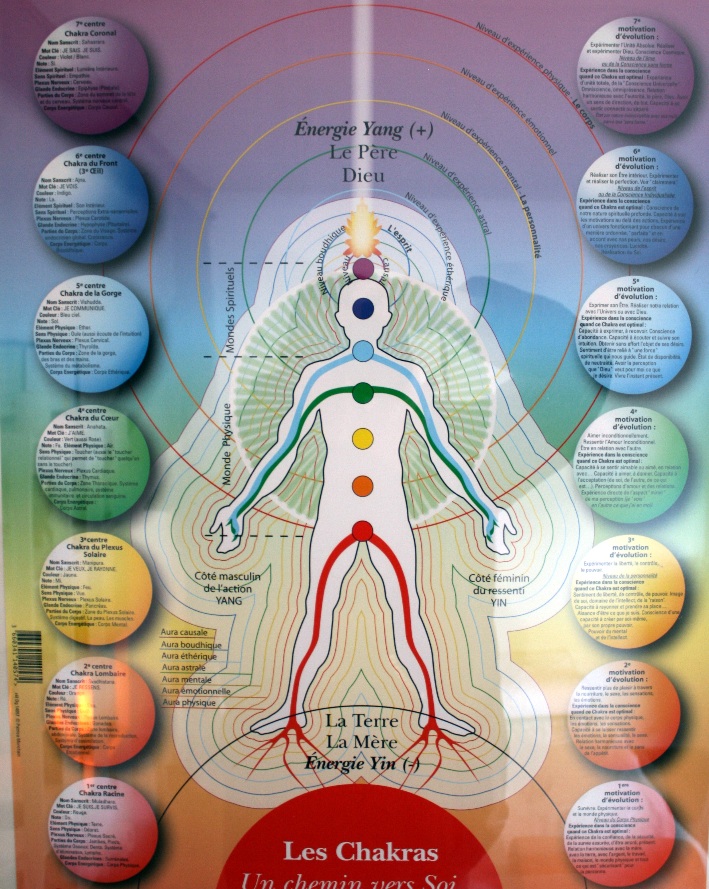 Les chakras, un chemin vers Soi